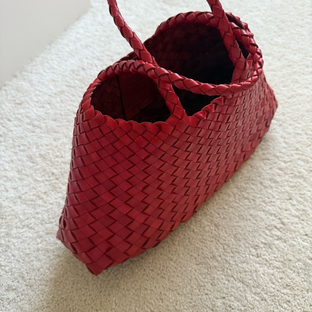 Dragon Diffusion Bag - image 5